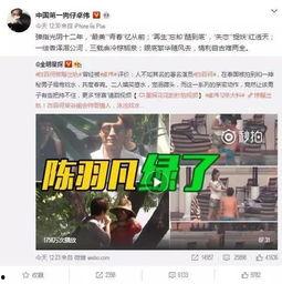托尼被爆料出轨后续视频,后续视频揭露惊人真相