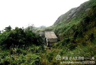 阳西新圩最新爆料,揭秘神秘项目，未来潜力无限