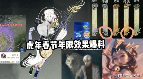 玉环最新爆料新闻事件,揭秘某重大事件背后真相