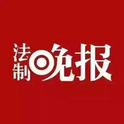 藁城爆料最新新闻头条,突发事件引发关注，详情揭晓！