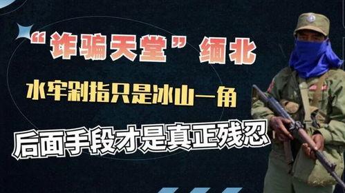 缅北最新爆料事件视频大全,事件视频大全深度解析