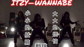 速1在线观看免费完整版,速度与激情的激情燃烧