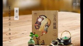 印茶爆料视频大全,揭秘茶叶界的秘密与传奇
