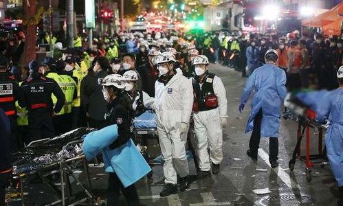 韩国记者爆料烧酒事件视频,真相与争议并存