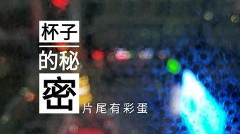 全国爆料原视频,真实事件背后的惊人真相