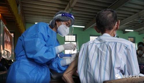 缅甸医生爆料事件视频大全,事件视频大全揭露惊人真相